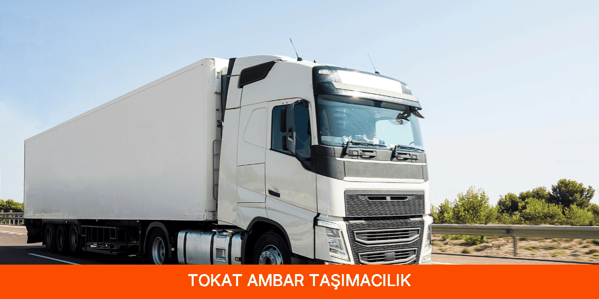 Tokat Ambar Taşımacılık